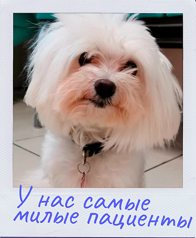 у нас самые милые пациенты